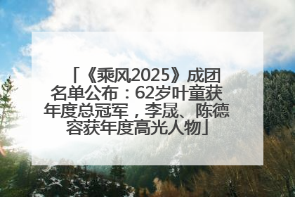 《乘风2025》成团名单公布：62岁叶童获年度总冠军，李晟、陈德容获年度高光人物
