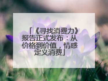 《寻找消费力》报告正式发布：从价格到价值，情感定义消费