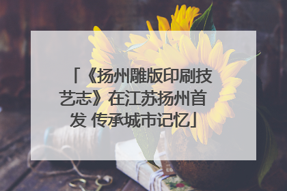 《扬州雕版印刷技艺志》在江苏扬州首发 传承城市记忆