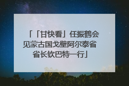 「甘快看」任振鹤会见蒙古国戈壁阿尔泰省省长钦巴特一行