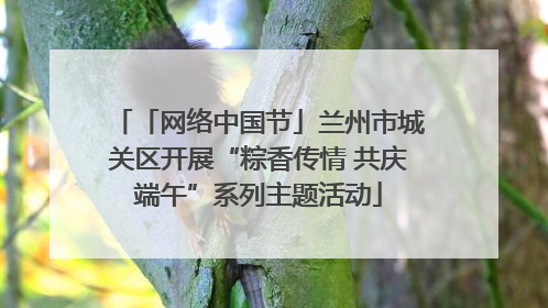 「网络中国节」兰州市城关区开展“粽香传情 共庆端午”系列主题活动