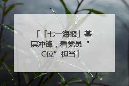 「七一海报」基层冲锋，看党员“C位”担当