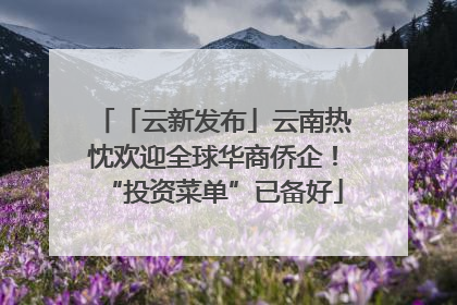 「云新发布」云南热忱欢迎全球华商侨企！“投资菜单”已备好