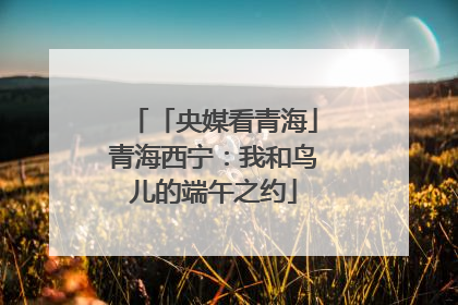 「央媒看青海」青海西宁：我和鸟儿的端午之约
