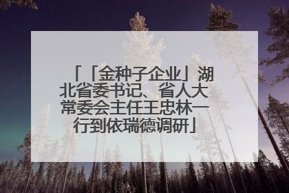 「金种子企业」湖北省委书记、省人大常委会主任王忠林一行到依瑞德调研