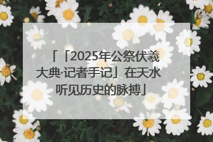 「2025年公祭伏羲大典·记者手记」在天水 听见历史的脉搏