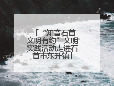 “知音石首 文明有约”文明实践活动走进石首市东升镇