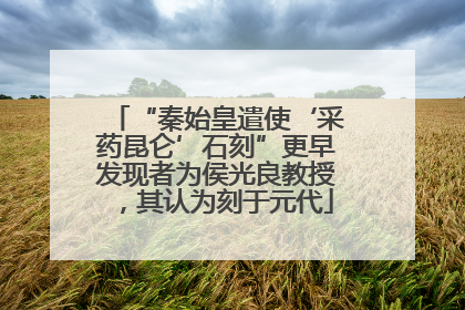 “秦始皇遣使‘采药昆仑’石刻”更早发现者为侯光良教授，其认为刻于元代
