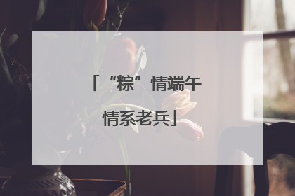 “粽”情端午 情系老兵