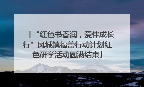 “红色书香润，爱伴成长行”凤城镇福蕾行动计划红色研学活动圆满结束