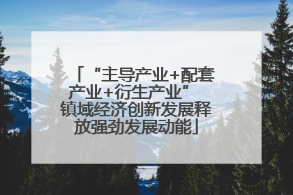 “主导产业+配套产业+衍生产业” 镇域经济创新发展释放强劲发展动能