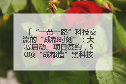 “一带一路”科技交流的“成都时刻”：大赛启动、项目签约，50项“成都造”黑科技吸引多国客商