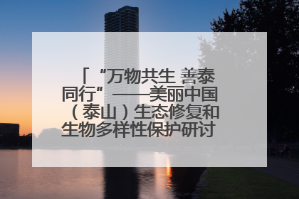 “万物共生 善泰同行”——美丽中国（泰山）生态修复和生物多样性保护研讨会成功举办