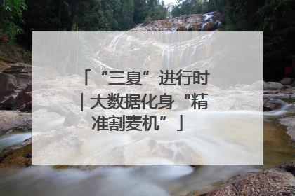“三夏”进行时｜大数据化身“精准割麦机”