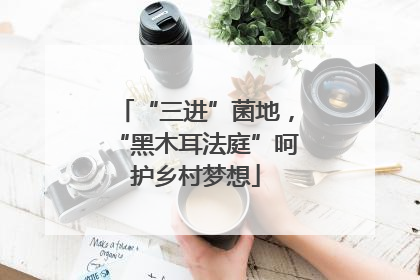“三进”菌地，“黑木耳法庭”呵护乡村梦想