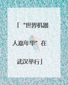 “世界机器人嘉年华”在武汉举行