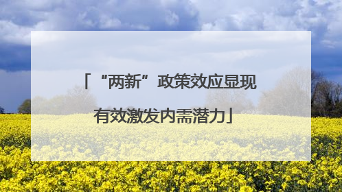 “两新”政策效应显现 有效激发内需潜力
