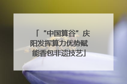 “中国算谷”庆阳发挥算力优势赋能香包非遗技艺