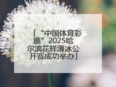 “中国体育彩票”2025哈尔滨花样滑冰公开赛成功举办