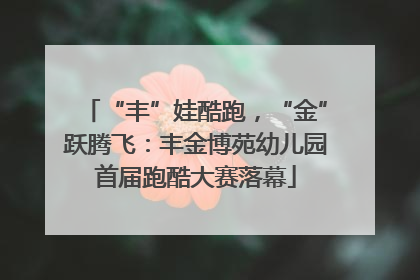 “丰”娃酷跑，“金”跃腾飞：丰金博苑幼儿园首届跑酷大赛落幕