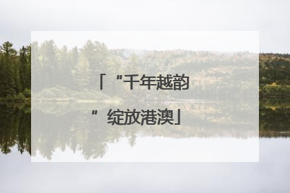 “千年越韵”绽放港澳
