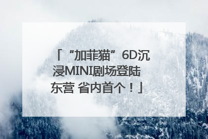 “加菲猫”6D沉浸MINI剧场登陆东营 省内首个！