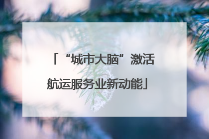 “城市大脑”激活航运服务业新动能