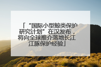 “国际小型鲸类保护研究计划”在汉发布，将向全球推介落地长江江豚保护经验