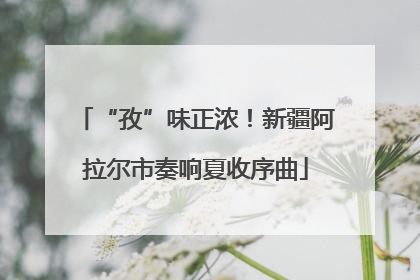 “孜”味正浓！新疆阿拉尔市奏响夏收序曲