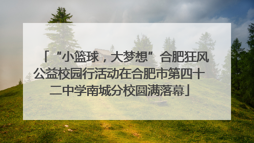 “小篮球，大梦想”合肥狂风公益校园行活动在合肥市第四十二中学南城分校圆满落幕
