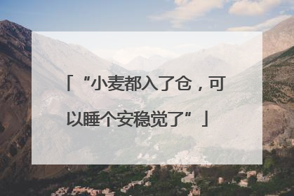 “小麦都入了仓，可以睡个安稳觉了”