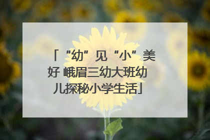 “幼”见“小”美好 峨眉三幼大班幼儿探秘小学生活