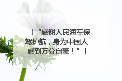 “感谢人民海军保驾护航，身为中国人感到万分自豪！”