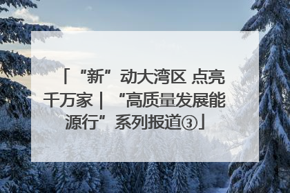 “新”动大湾区 点亮千万家｜“高质量发展能源行”系列报道③