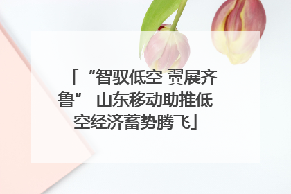 “智驭低空 翼展齐鲁” 山东移动助推低空经济蓄势腾飞