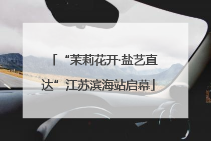 “茉莉花开·盐艺直达”江苏滨海站启幕