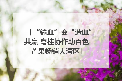 “输血”变“造血”共赢 粤桂协作助百色芒果畅销大湾区