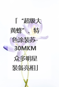 “超级大黄蜂”、特色涂装苏-30MKM 众多明星装备亮相
