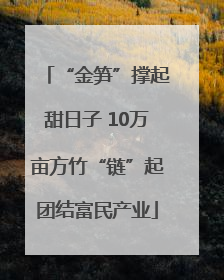 “金笋”撑起甜日子 10万亩方竹“链”起团结富民产业