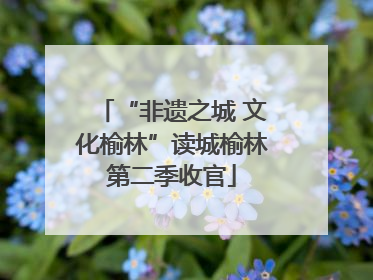 “非遗之城 文化榆林”读城榆林第二季收官