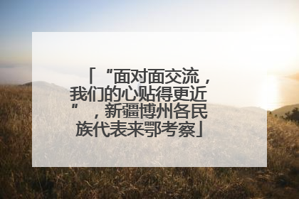 “面对面交流，我们的心贴得更近”，新疆博州各民族代表来鄂考察