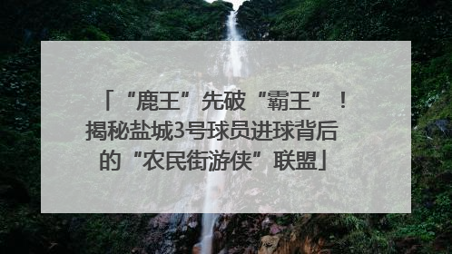 “鹿王”先破“霸王”！揭秘盐城3号球员进球背后的“农民街游侠”联盟