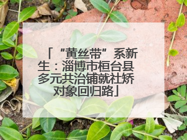 “黄丝带”系新生：淄博市桓台县多元共治铺就社矫对象回归路