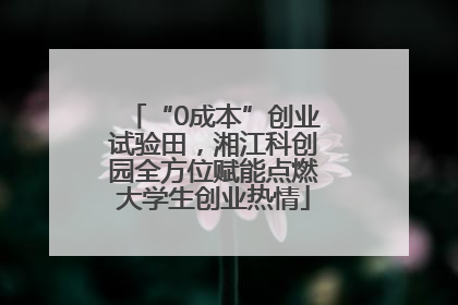 “0成本”创业试验田，湘江科创园全方位赋能点燃大学生创业热情