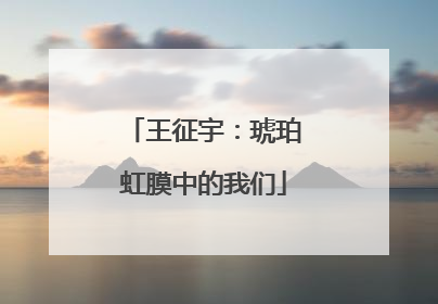 王征宇：琥珀虹膜中的我们