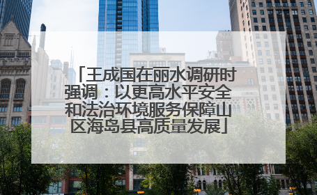 王成国在丽水调研时强调：以更高水平安全和法治环境服务保障山区海岛县高质量发展
