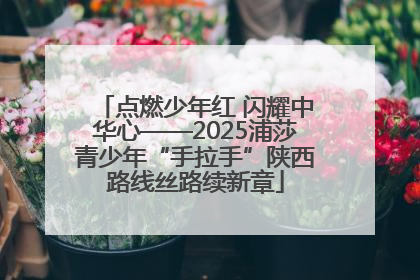 点燃少年红 闪耀中华心——2025浦莎青少年“手拉手”陕西路线丝路续新章