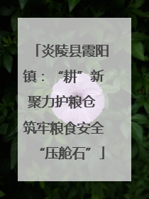 炎陵县霞阳镇：“耕”新聚力护粮仓 筑牢粮食安全“压舱石”