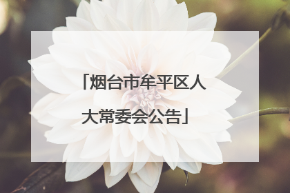 烟台市牟平区人大常委会公告