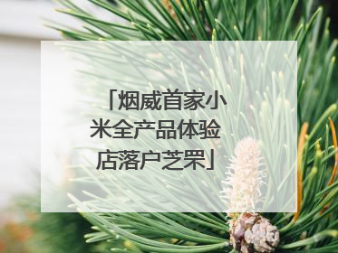 烟威首家小米全产品体验店落户芝罘